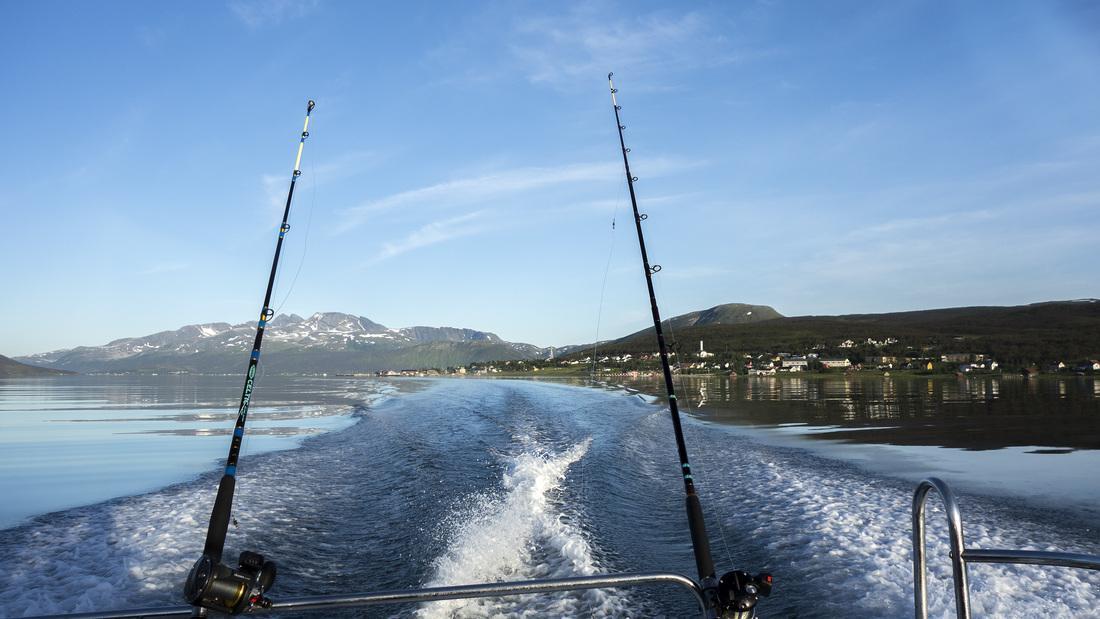 Hansnes Havfiske Eksteriør billede